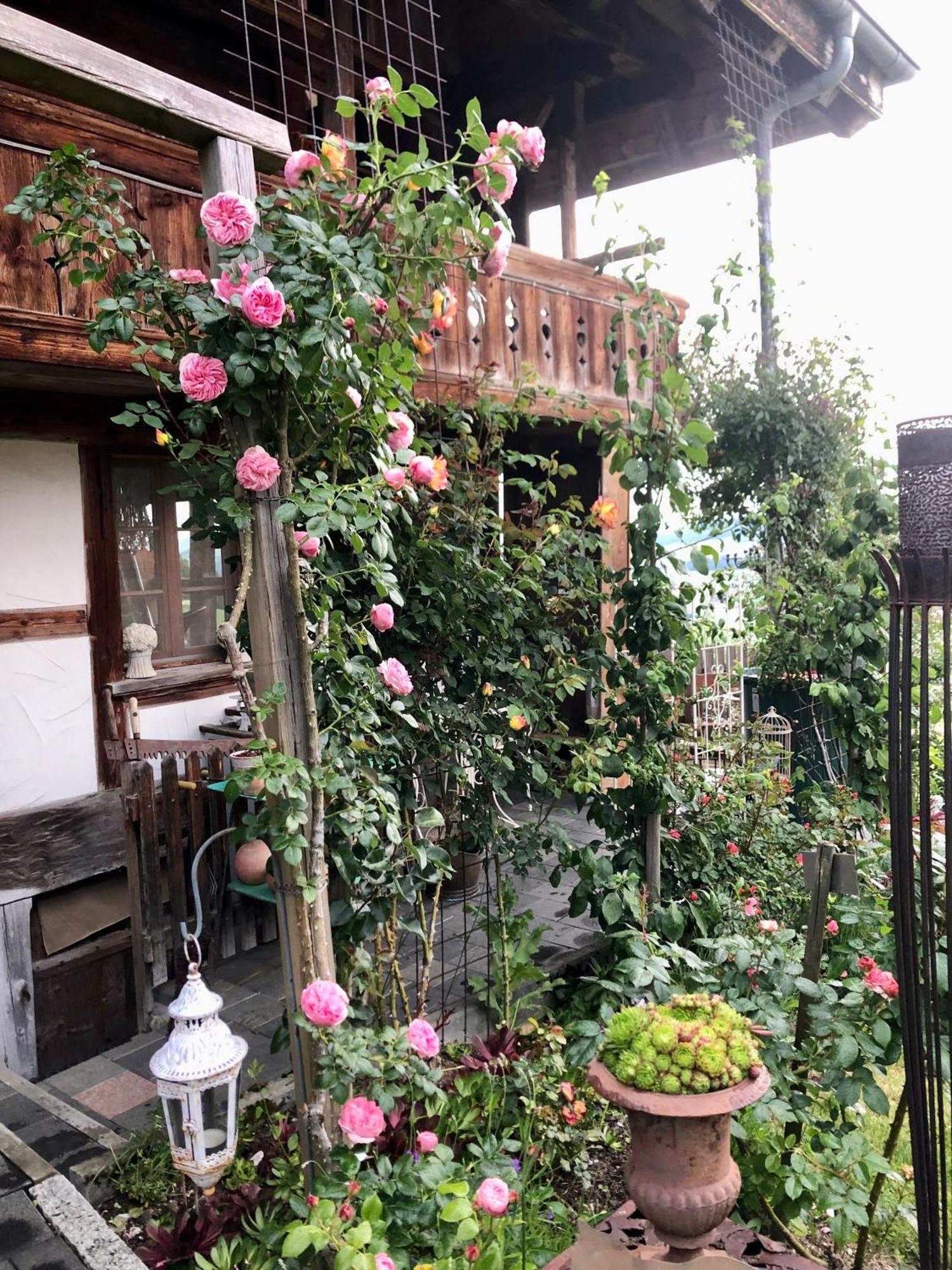吉尔森西Rosenhuesli公寓 外观 照片